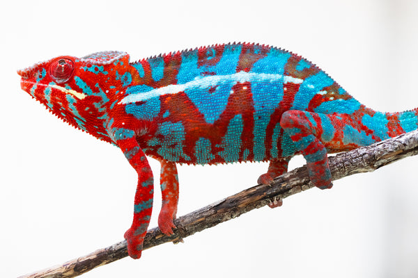 MENA-KIN-KEEP-5674_e771f1f2-