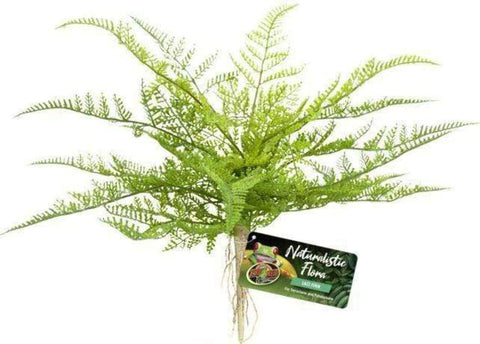 ASSORTED Zoo Med Naturalistic Flora  - FREE SHIPPING with your Chameleon!