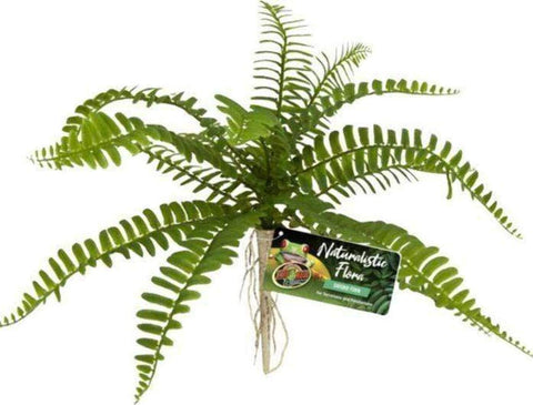 ASSORTED Zoo Med Naturalistic Flora  - FREE SHIPPING with your Chameleon!