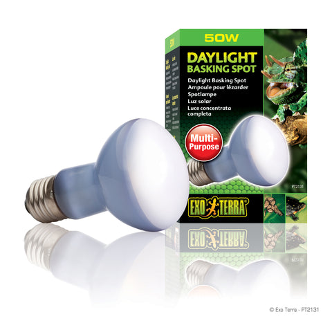 Exo Terra Daylight Basking Spot Lamp - FREE SHIPPING with your Chameleon!