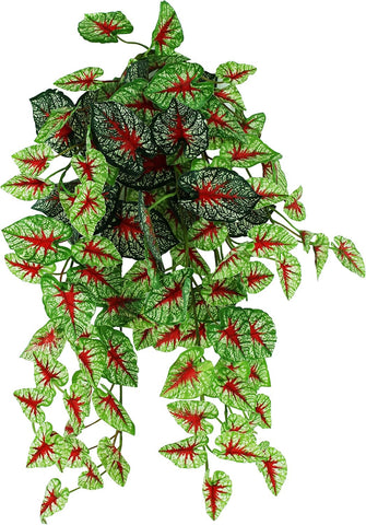 Pangea Hanging Bush Plants - FREE SHIPPING with your Chameleon!