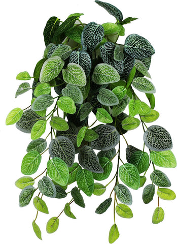 Pangea Hanging Bush Plants - FREE SHIPPING with your Chameleon!