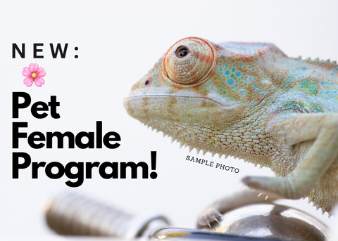 NEW: Pet Female Program!